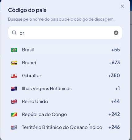 Seletor de codigo do pais com busca: ao digitar br aparecem Brasil +55, Brunei +673 e outros